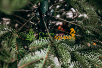 Aljašský deštníkový systém